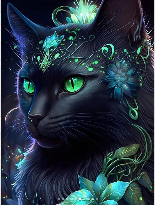 Black Cat Diamond Painting Set