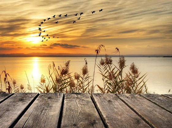 Sunset Lake & Birds