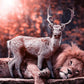 Deer & Lion