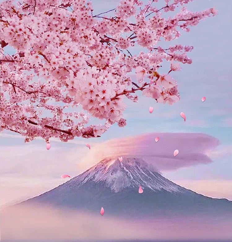 Sakura Snow Mountain
