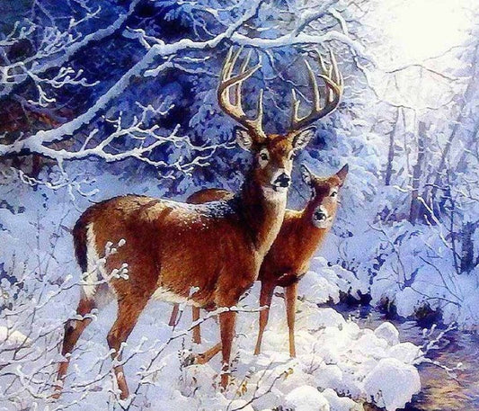 Beautiful Deer Pair in Snow