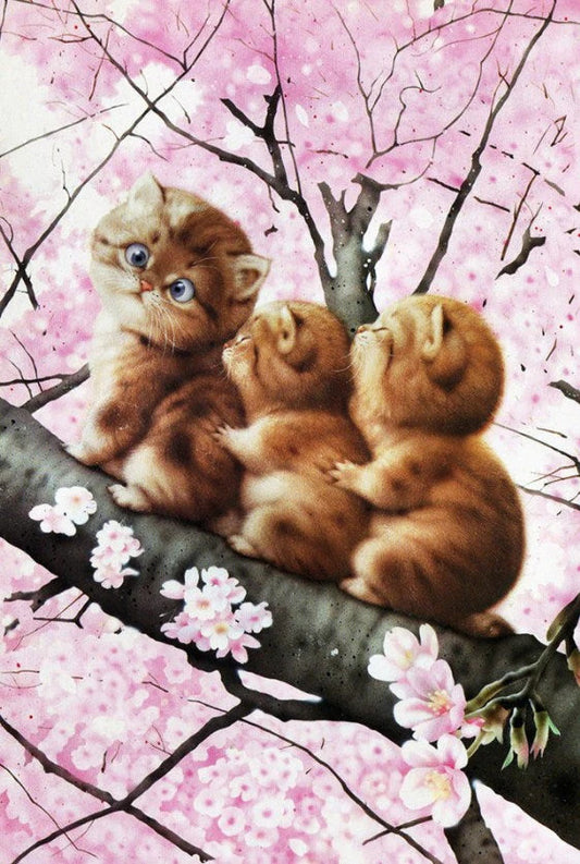 Cats on Cherry Tree