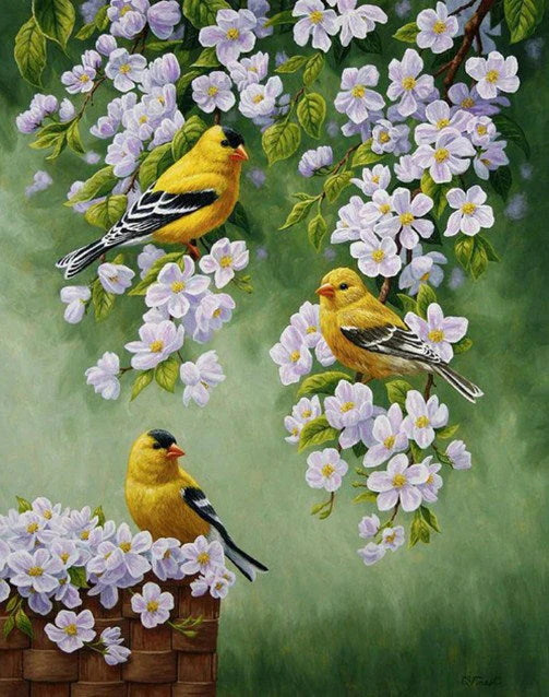 Yellow Birds & White Flowers