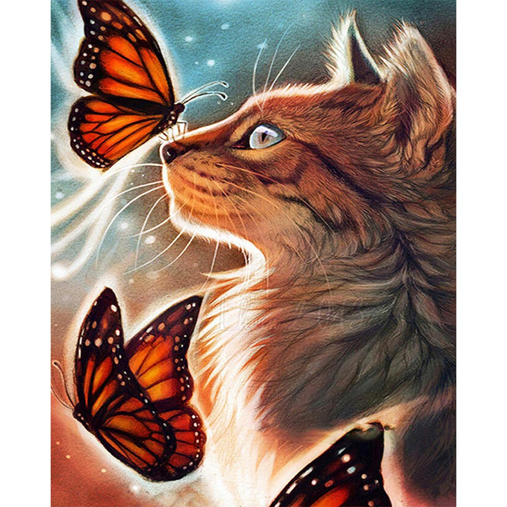 Cat & Butterflies