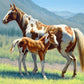 Horse with Foal Diamond Painting Kit
