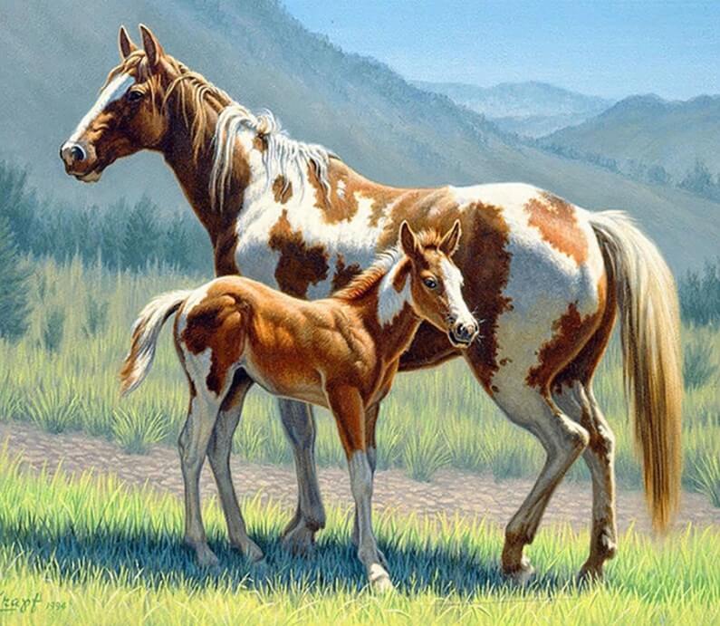 Horse with Foal Diamond Painting Kit