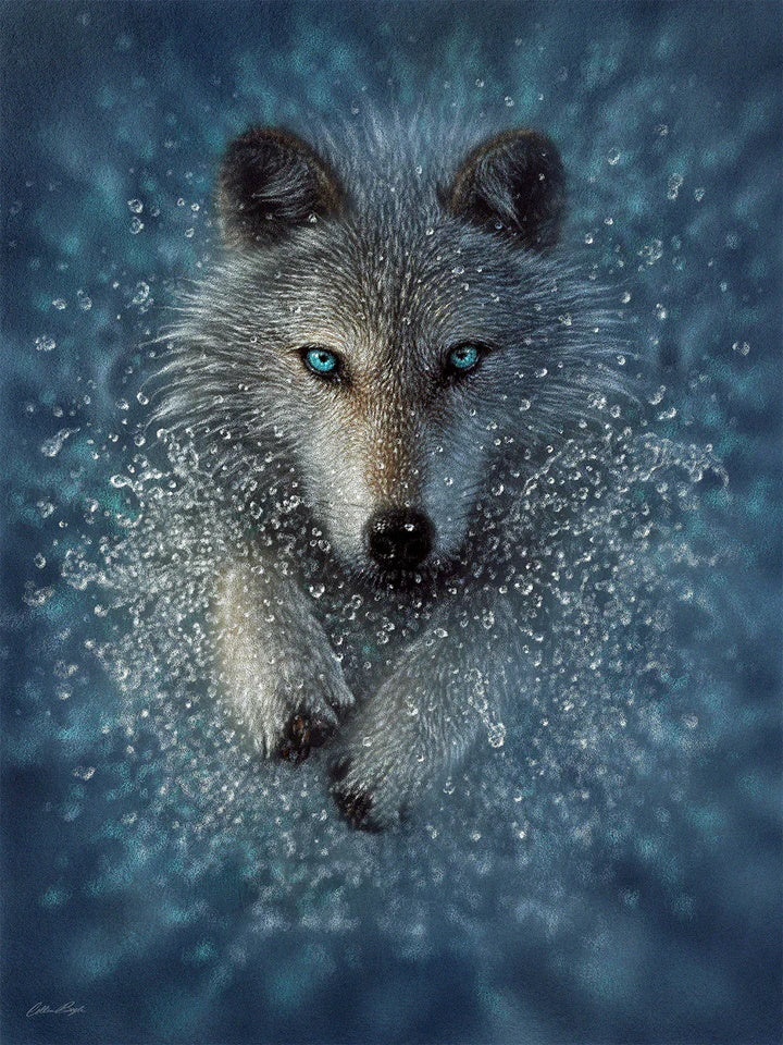 Running Wolf Splash