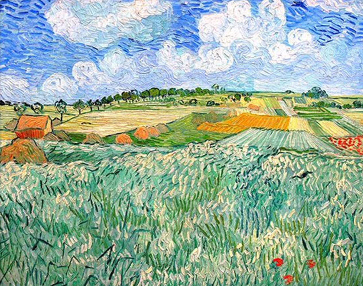 The Plains of Orvison - Vincent Van Gogh