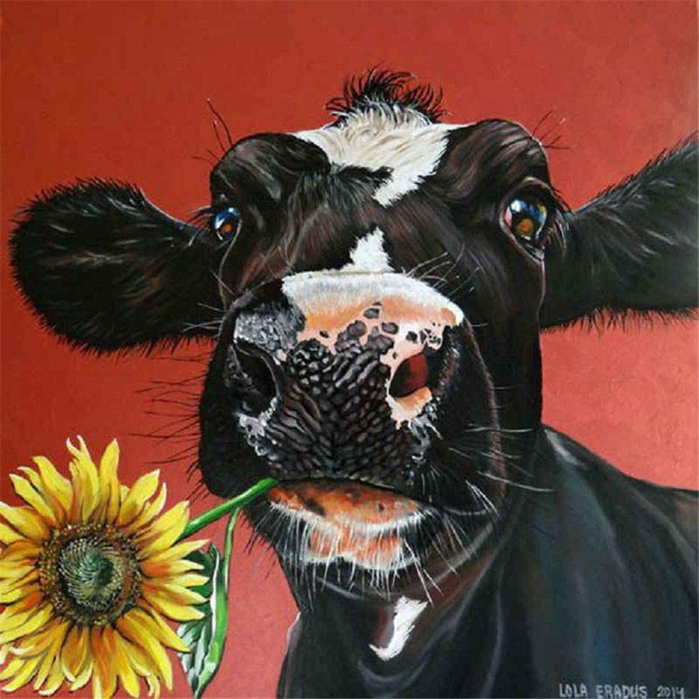 Black Cow Carrying Sun Flower