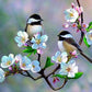 Little Sparrows on White Flowers