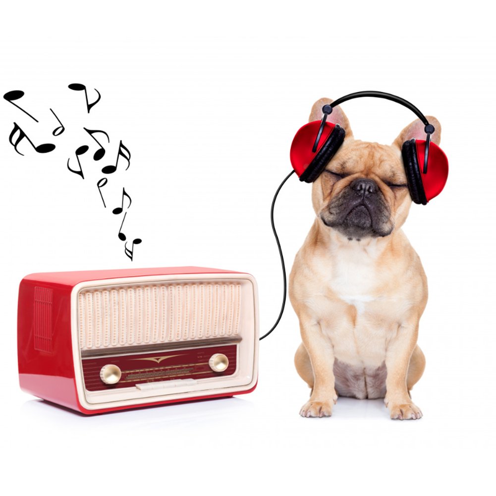 Dog Listening Music