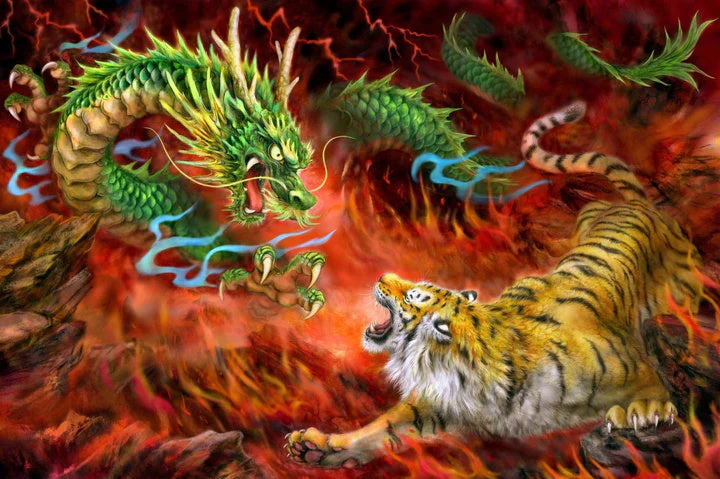 Dragon VS Tiger on fire