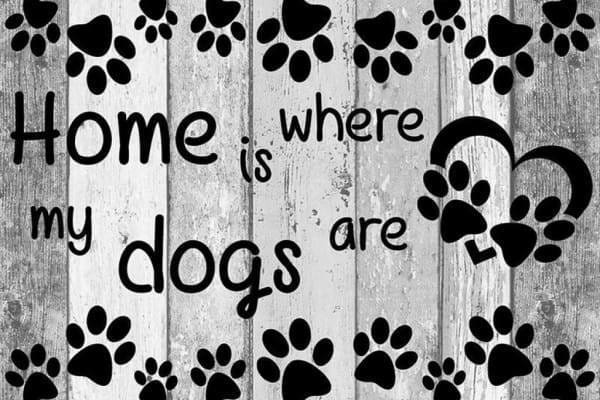 Home is Where my Dogs are