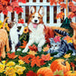 Puppies and Kittens in Autumn
