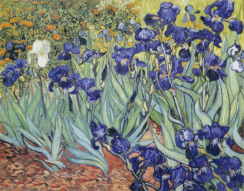 Irises - Vincent Van Gogh