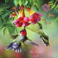 Humming Birds Drinking Flower Nectar