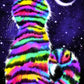 Rainbow Tiger Cat
