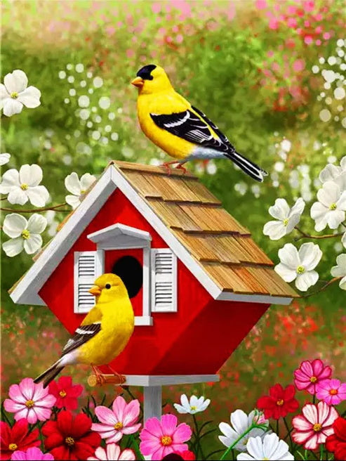 Beautiful Birds Couple