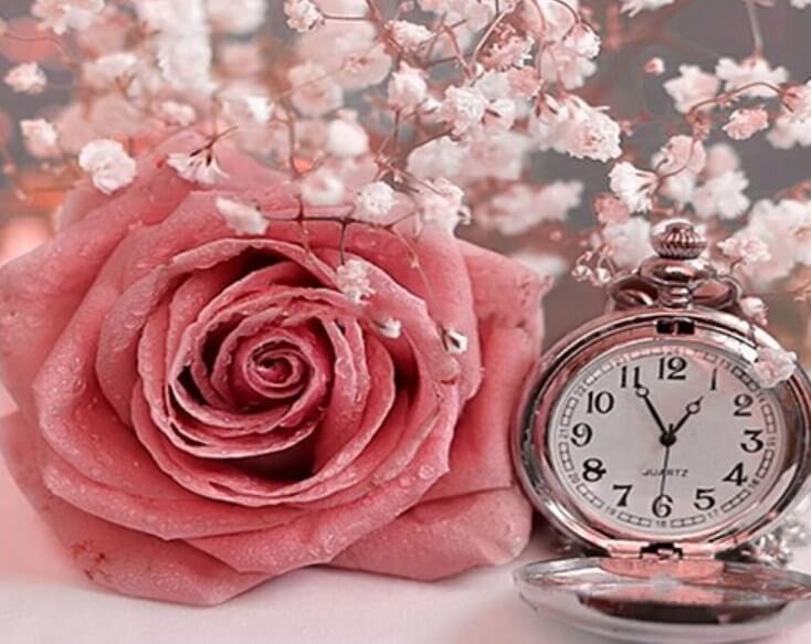 Pink Rose & Clock