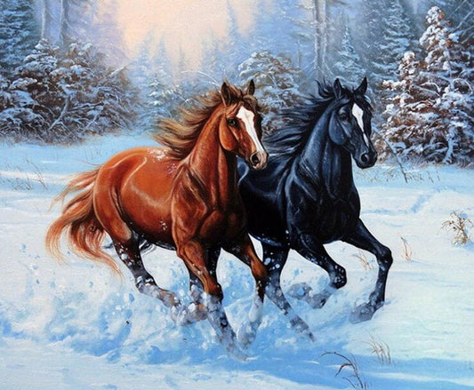 Black & Brown Horses