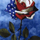 American Flag on Flower