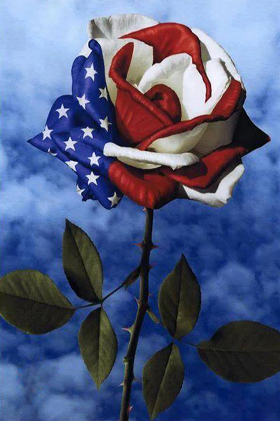 American Flag on Flower