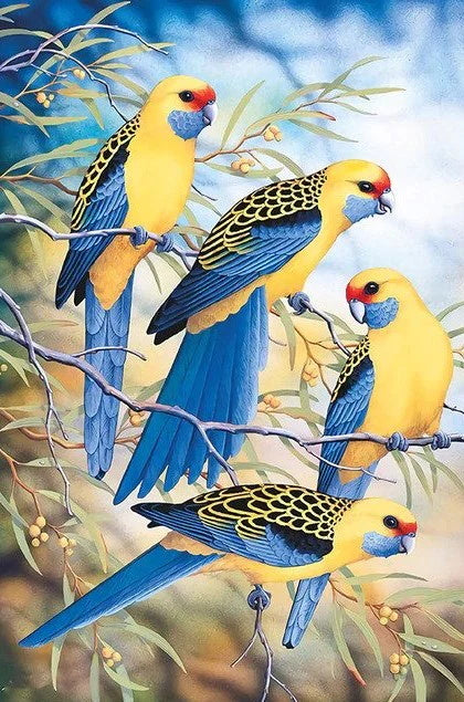 Beautiful Blue & Yellow Parrots
