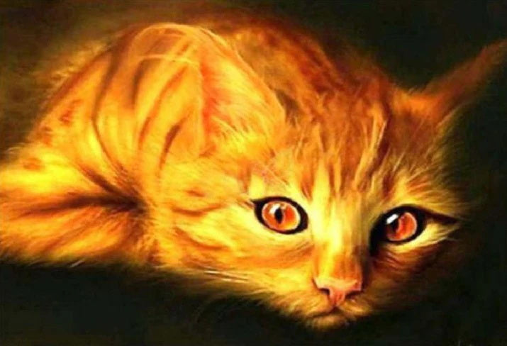 Golden Cat with Orange Eyes
