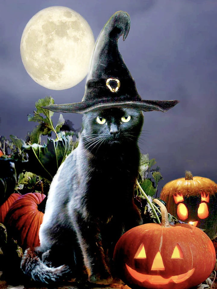 Witchy Black Halloween Cat