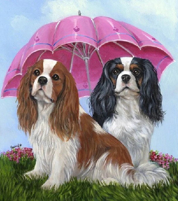 Spaniels Under Umbrella